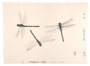 Kobayashi Kokei / Dragonfly