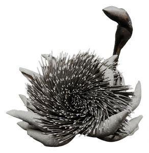 Shokuka