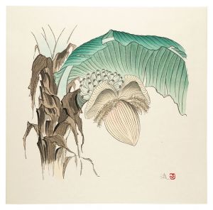 <strong>Maki Susumu</strong><br>Banana