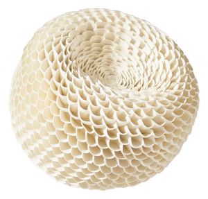 Eggshell