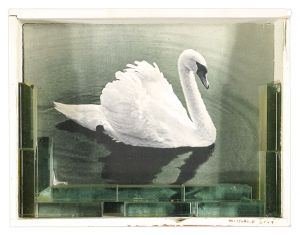 a field, a home / Swan I