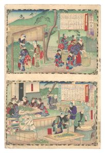 広重三代「大日本物産図会　山城国宇治茶摘図一 宇治茶製之図二」
