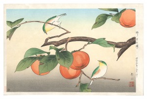 Persimon and Japanese White Eye