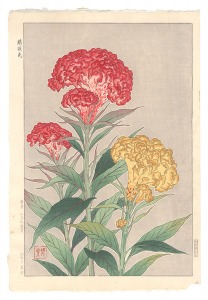 河原崎奨堂「鶏冠花」