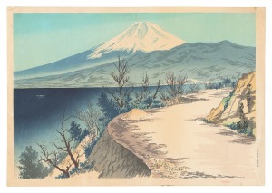 Coast in IZu