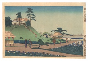 Kiyochika / The Iris Garden at Horikiri [堀切花菖蒲]