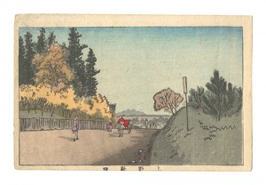<strong>Yasuji,Tankei</strong><br>True Pictures of Famous Places......
