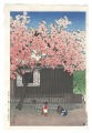 Twelve Scenes of Tokyo / Sprin......