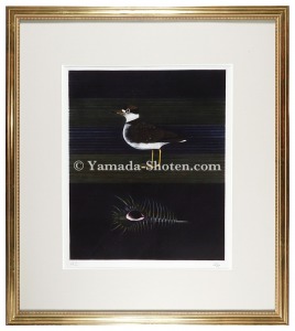 Venus comb and plover