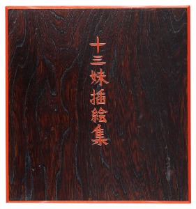 <strong>The Illustrated Story of a Chi......</strong><br>written by Takeda Taijun; illustrated by Serizawa Keisuke